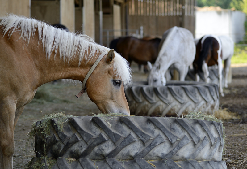Rubbish removal rubbish collection