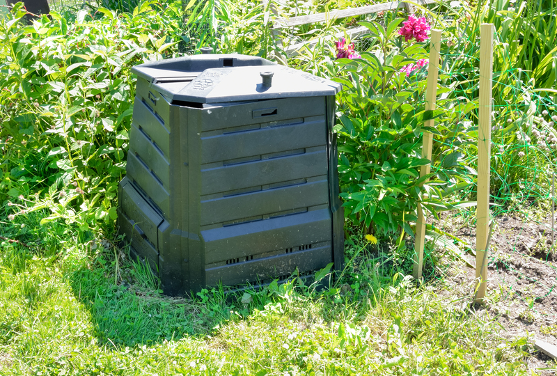 Packaging and Cardboard Disposal: Beyond the Bin